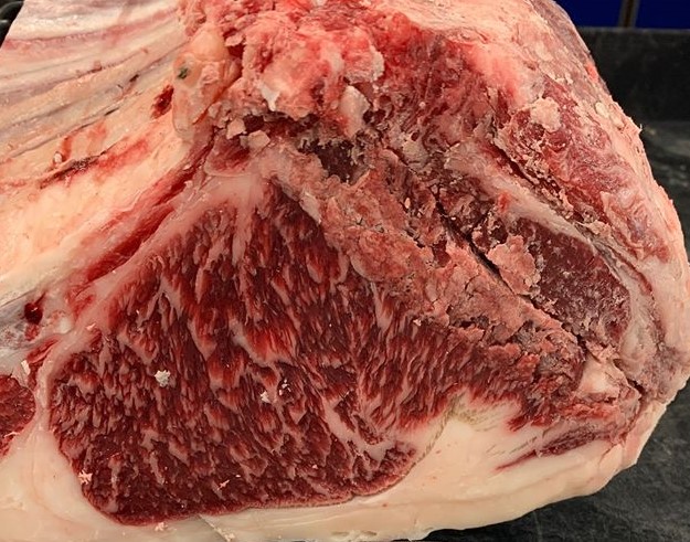 100% Full Blood Wagyu Cattle